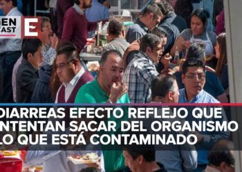 Ya viene la canicula protegete de las enfermedades gastrointestinales